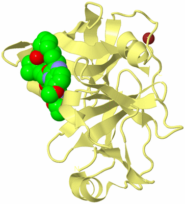 Image Biological Unit 4