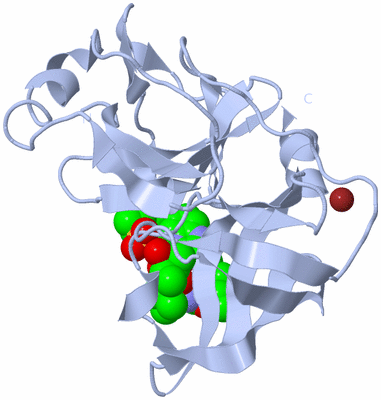 Image Biological Unit 1