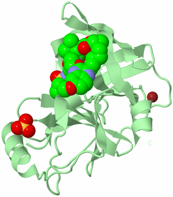 Image Biological Unit 2