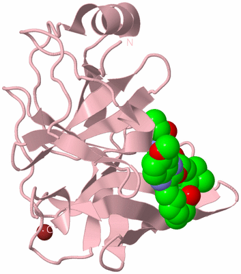 Image Biological Unit 3