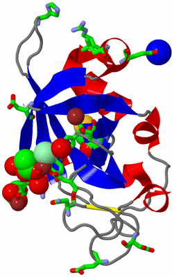 Image Asym./Biol. Unit - sites