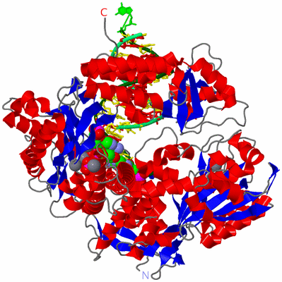 Image Asym./Biol. Unit