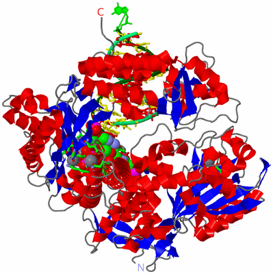 Image Asym./Biol. Unit - sites