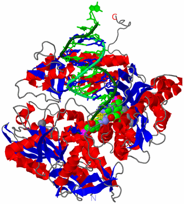 Image Asym./Biol. Unit