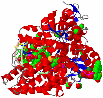 Image Asym./Biol. Unit