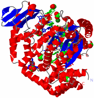 Image Asym./Biol. Unit