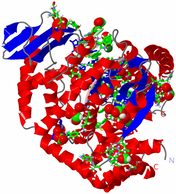 Image Asym./Biol. Unit - sites