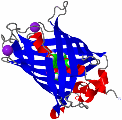 Image Asym./Biol. Unit