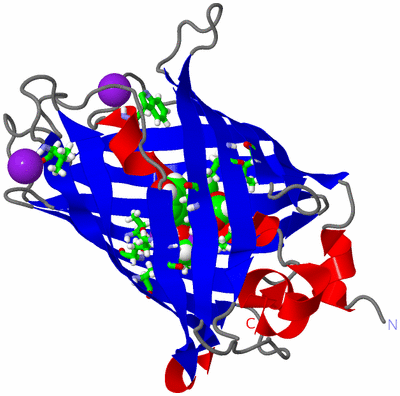 Image Asym./Biol. Unit - sites