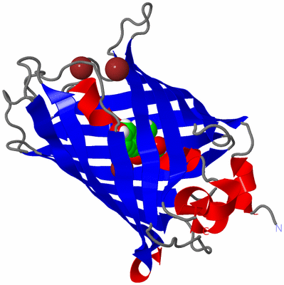 Image Asym./Biol. Unit