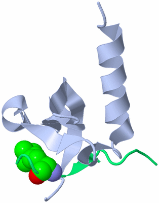 Image Asymmetric Unit