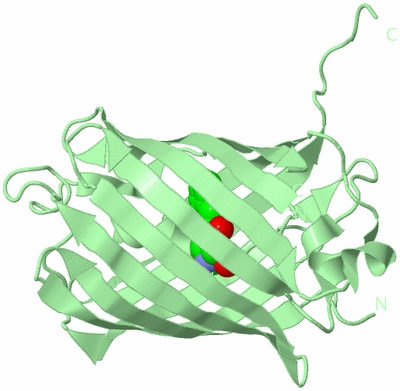 Image Biological Unit 2