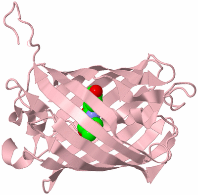 Image Biological Unit 3