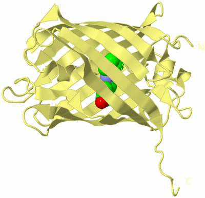 Image Biological Unit 4