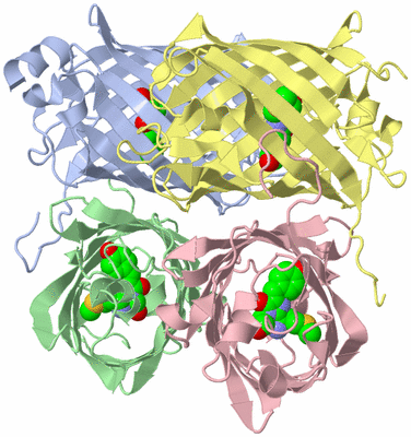 Image Biological Unit 5