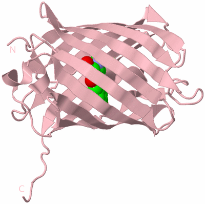 Image Biological Unit 3