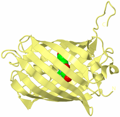 Image Biological Unit 4