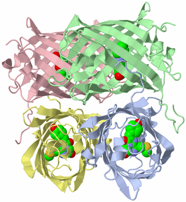 Image Biological Unit 5