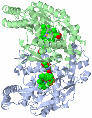 Image Asym./Biol. Unit