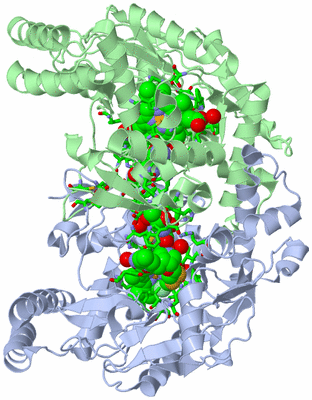 Image Asym./Biol. Unit - sites