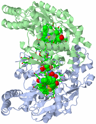 Image Asym./Biol. Unit - sites