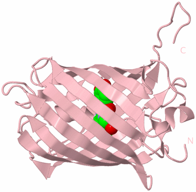 Image Biological Unit 3