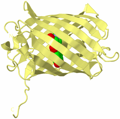 Image Biological Unit 4