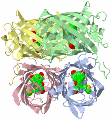 Image Biological Unit 5