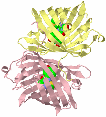 Image Biological Unit 10