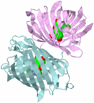 Image Biological Unit 11