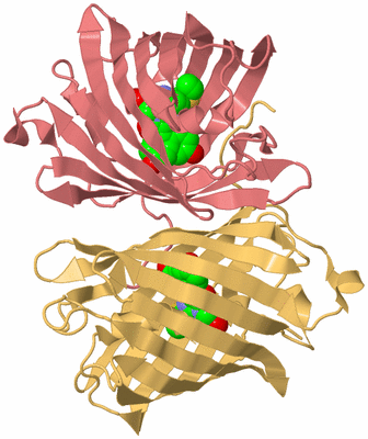 Image Biological Unit 12