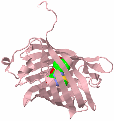 Image Biological Unit 3