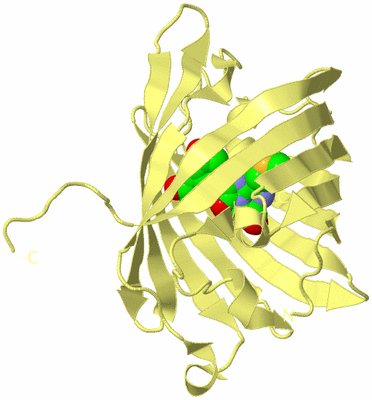 Image Biological Unit 4