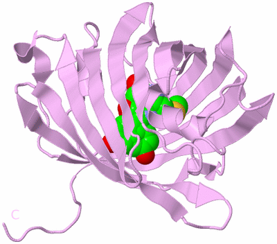 Image Biological Unit 5