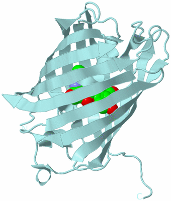 Image Biological Unit 6