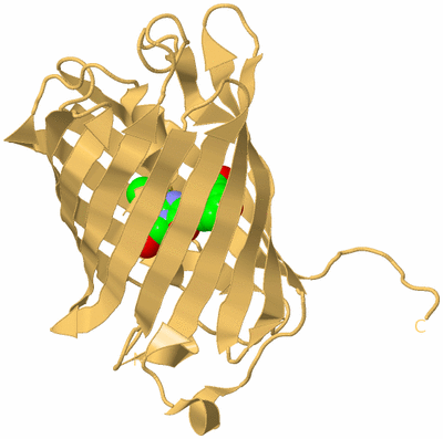 Image Biological Unit 7