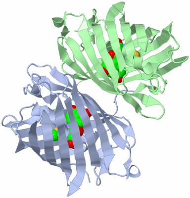 Image Biological Unit 9