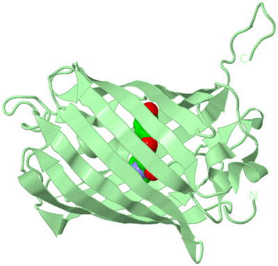 Image Biological Unit 2