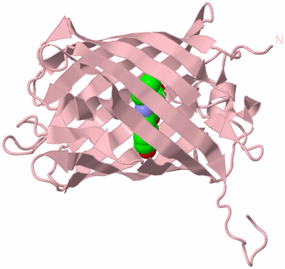 Image Biological Unit 3