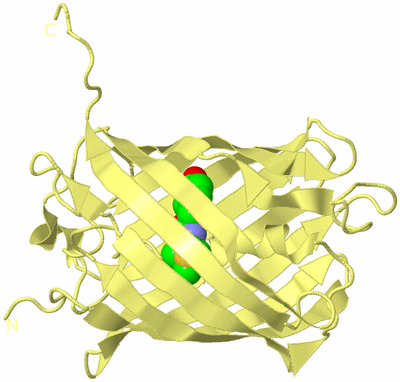 Image Biological Unit 4