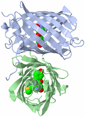 Image Biological Unit 5