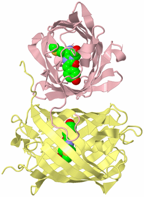 Image Biological Unit 6