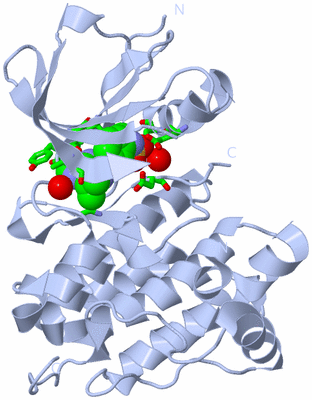 Image Biol. Unit 1 - sites