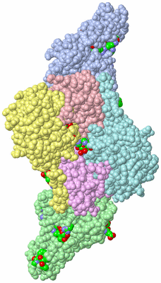 Image Asym./Biol. Unit - sites