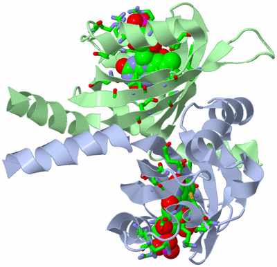 Image Asym./Biol. Unit - sites