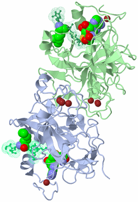 Image Biological Unit 3