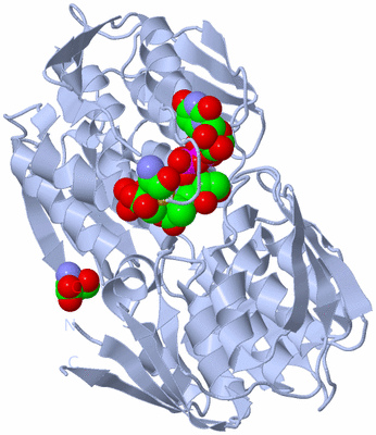 Image Biological Unit 1