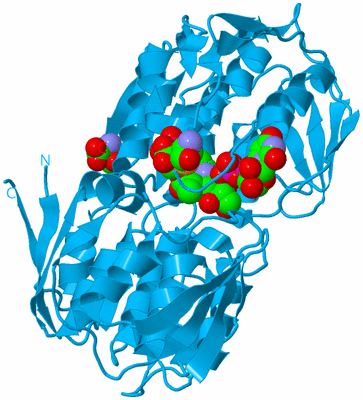 Image Biological Unit 10