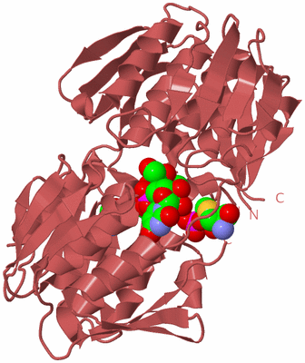 Image Biological Unit 11