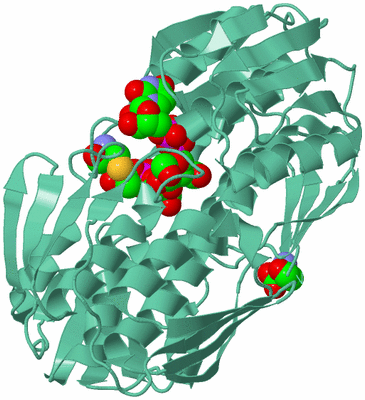 Image Biological Unit 12